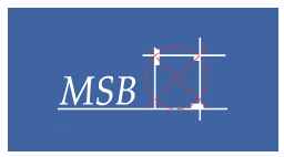 MSB Maschinen-, Stahl- und Behälterbau Logo