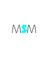 MSM Maschinen-Stahl-Metallbau GmbH Logo