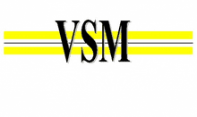 VSM GmbH Maschinen- und Anlagenbau Logo