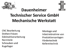 DTS Dauenheimer Technischer Service GmbH Logo